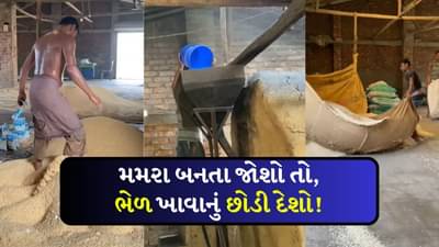 Viral Video : આ રીતે બને છે મમરા, પ્રોસેસ જોયા પછી તમે ભેળ ખાવાનું બંધ કરી દેશો!