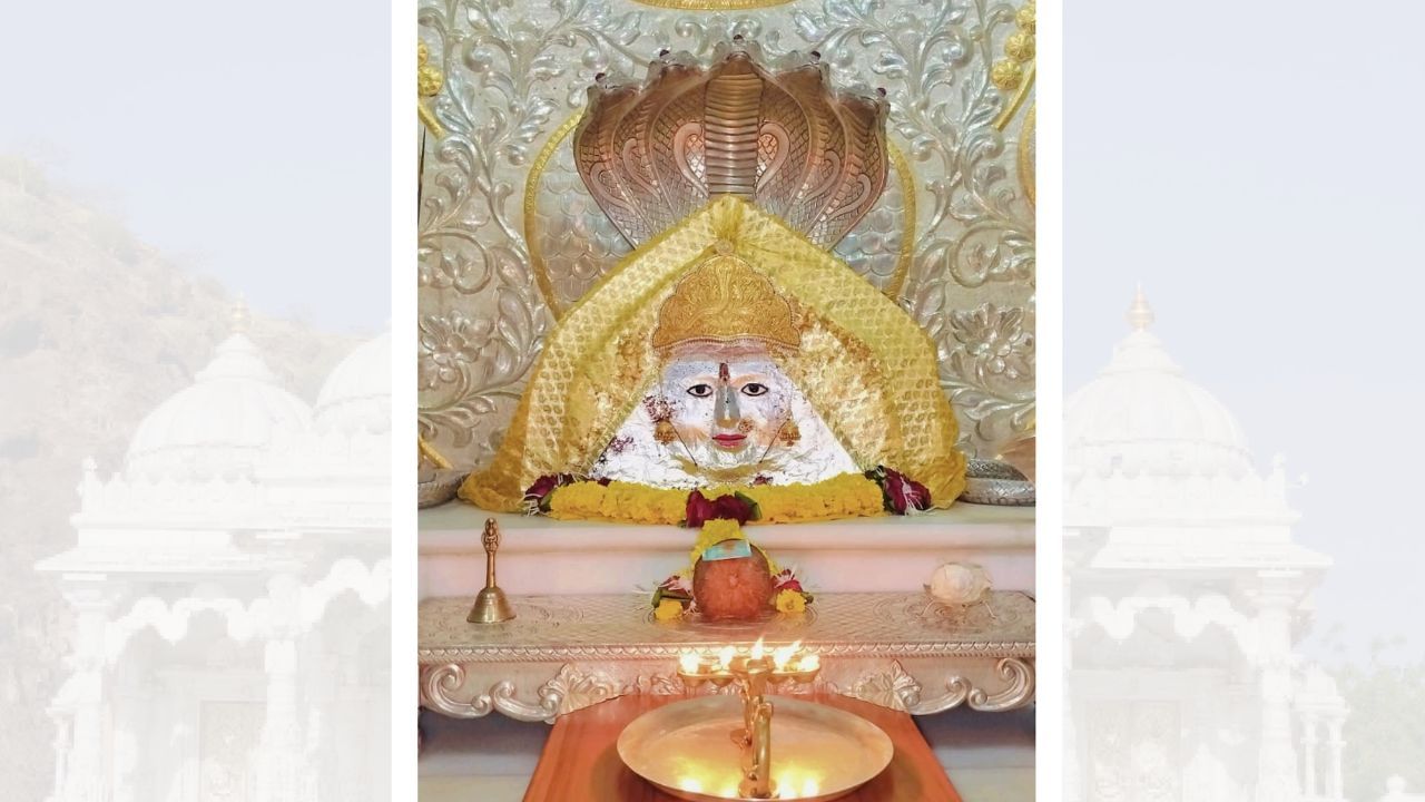 મનસા માતાજીના વિવિધ યુગોમાં કરેલ કાર્યો તથા મહિમા મુજબ માતાજીના નામાભીકરણ થયેલ 12 નામોનું વર્ણન આ  શ્લોક માં છે. તેમાંથી એક નામ નાગણેશ્વરી માતાજી તરીકે પણ ઓળખાય છે. "જરત્કારું, જગદગૌરી, મનસા, સિદ્ધ યોગીની, વૈષ્ણવી, નાગભગીની, શૈવી, નાગણેશ્વરી તથા જરતકારુપ્રિયા, આસ્તિક માતા, વિષહરીતીય, મહાજ્ઞાનયુતા, યૈવ સાહીવી વિશ્વપુજીત, વ્યાધ શૈતાની નામા ની પૂજા કાલે તૂ ય: પઠેત તસ્ય નાગભયં નાસ્તિ તસ્ય વંશાન્સવમ, ૐ હ્રીં શ્રીમ ક્લિમ મનસાદેવીયે સ્વાહા "