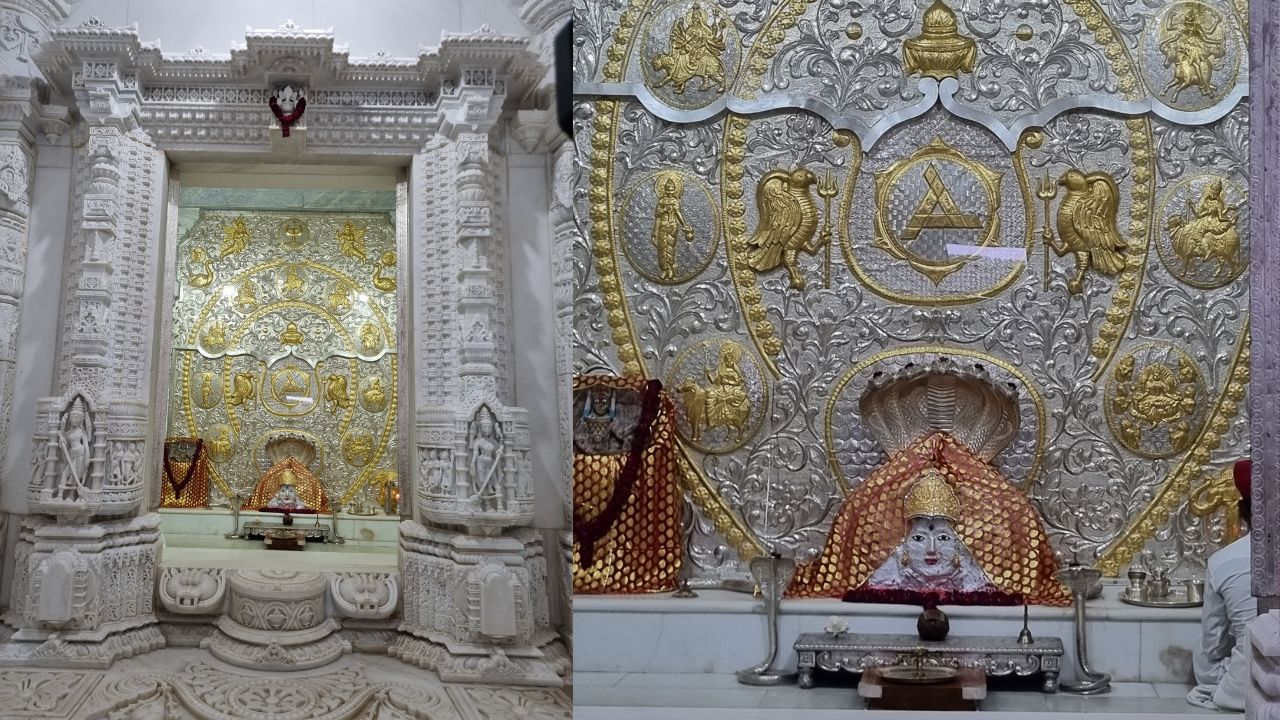 તેઓ ભગવાન વિષ્ણુની ભક્તિમાં હંમેશા લીન રહેતા હોવાથી તે  વૈષ્ણવી પણ કહેવાય છે. માં નાગણેશ્વરી નાગોના રાજા વાસુકીના બહેન હોવાથી નાગભગીની પણ કહેવાયા. માતાજી નાગ સાપનું ઝેર હરી લેવાનું સામર્થ્ય ધરાવે છે જેથી વિશહરી નામથી પણ ઓળખાય છે.મહાદેવની પાસે રહી સિદ્ધિ તથા મહાદેવની પ્રસન્નતા મેળવી જેથી તે સિદ્ધયોગીની પણ કહેવાય છે. તેઓ શ્રેષ્ઠ મુનિવર આસ્તિક ઋષિ ના માતા હોવાથી આ દેવી આસ્તિકમાતાના નામે પણ ઓળખાય છે. તેમના પતિ મહર્ષિ જરત્કારું ઋષિ હતા જેથી જરત્કારુંપ્રિયા ના નામથી પણ ઓળખાયા.