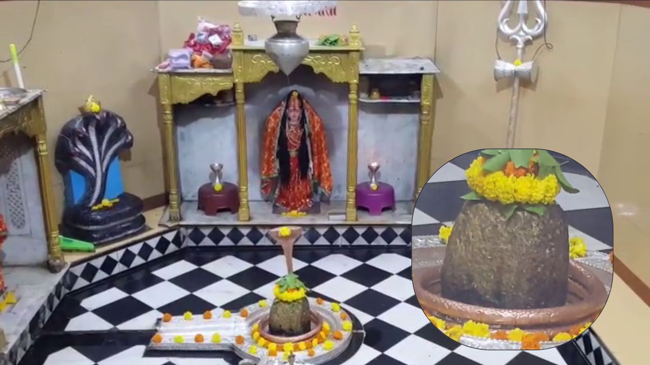 શિવ પુરાણ મુજબ, નાગેશ્વર જ્યોતિર્લિંગ પ્રાચીન સમયમાં “દારુકાવન” તરીકે ઓળખાતા એક જંગલ વિસ્તારમાં આવેલ છે. “દારુકાવન”નું નામ ભારતના પ્રાચીન સાહિત્ય અને મહાકાવ્યોમાં પણ જોવા મળે છે. આવા જંગલોના ઉલ્લેખ કામ્યકવન, દ્વૈતવન અને દંડકવન જેવા અન્ય પૌરાણિક વનોની યાદીમાં મળે છે.