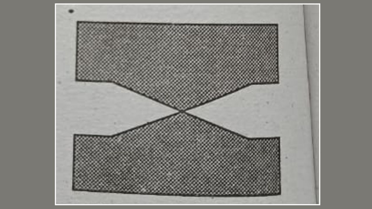 ડબલ રથ આકારનો પ્લોટ મકાન બાંધકામની દ્રષ્ટિએ સારો માનવામાં આવતો નથી. વાસ્તુ શાસ્ત્રના નિયમો અનુસાર, આવા પ્લોટ ઘરમાલિકને આમતેમ દોડાવે છે. તેને એક જગ્યાએ કાયમી સુખ મળતું નથી. તે એક અશુભ સંકેત છે. આ પ્રકારનો પ્લોટ ક્યારેય ખરીદવો જોઈએ નહીં.(ડિસ્ક્લેમર : ઉપરોક્ત આપેલી જાણકારી વાસ્તુશાસ્ત્ર અને જ્યોતિષ શાસ્ત્રમાં આપેલી માહિતીના આધારે લેવામાં આવી છે. TV9 ગુજરાતી તેની પુષ્ટી કરતું નથી.)