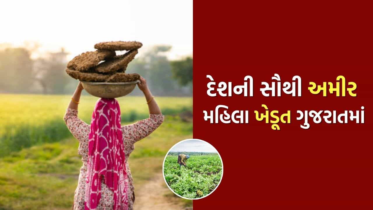 Richest Farmer : ગુજરાતની આ મહિલાએ એવું તો શું કર્યું કે બની ગઈ દેશની સૌથી અમીર મહિલાની ખેડૂત, સંપતિ જાણી ચોંકી જશો..