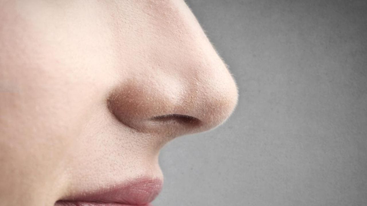 સામુદ્રિક શાસ્ત્ર અનુસાર જે લોકોના નાક પર વાળ હોય છે તેઓ દૂરંદેશી હોય છે. ઉપરાંત તેઓ કોઈપણ બાબતના ઊંડાણ સુધી જાય છે. આ લોકોનો સ્વભાવ રહસ્યમય હોય છે. તેમજ આ લોકો બીજાના મન વાંચવામાં નિષ્ણાત હોય છે. આ લોકો વ્યવહારુ પણ હોય છે.