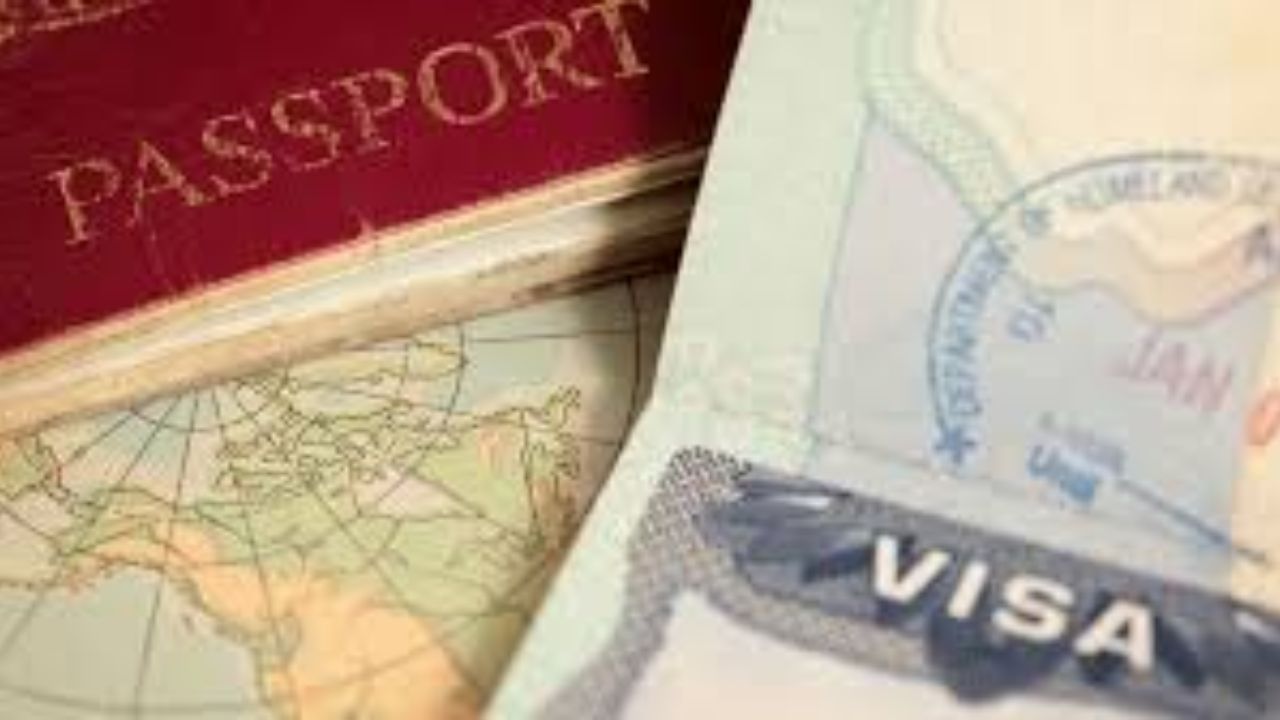 Passport (4)
