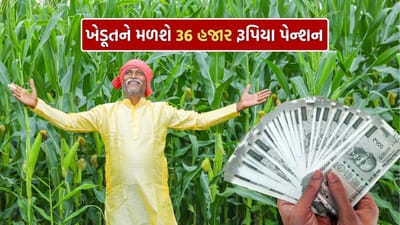 PM Kisan Mandhan Pension Scheme: પીએમ કિસાન માનધન પેન્શન યોજનાનો લાભ પીએમ કિસાન સન્માન નિધિના લાભાર્થીઓ લઈ શકે છે. 60 વર્ષ પછી, તમને દર મહિને 3,000 રૂપિયા પેન્શન મળશે. તેના નોંધણી માટે કોઈ દસ્તાવેજોની જરૂર નથી...