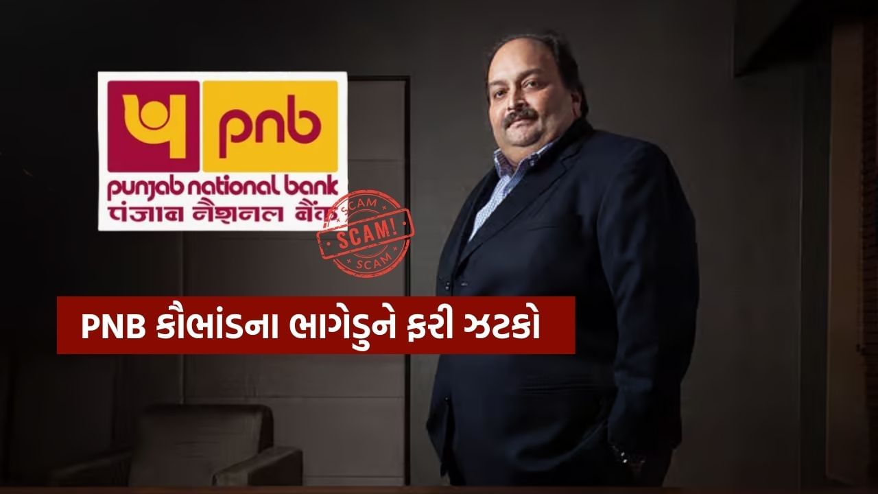 PNB Scam: Fugitive Mehul Choksi big blow, this court rejected bail application, know what now? PNB Scam: Fugitive Mehul Choksi big blow, this court rejected bail application, know what now?