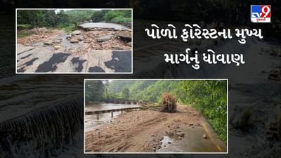 Breaking News : હરણાવ નદીના ધસમસતા પ્રવાહથી પોળોના શાર્ણેશ્વરથી જૈન મંદિરનો રસ્તો ધોવાયો, પ્રવાસીઓને જવા પર પ્રતિબંધ, જુઓ Video Breaking News : હરણાવ નદીના ધસમસતા પ્રવાહથી પોળોના શાર્ણેશ્વરથી જૈન મંદિરનો રસ્તો ધોવાયો, પ્રવાસીઓને જવા પર પ્રતિબંધ, જુઓ Video