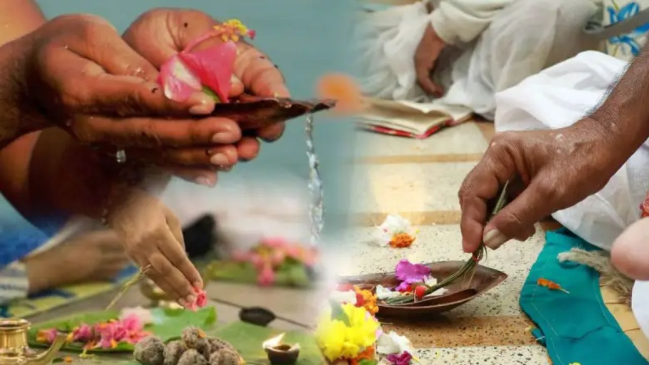 તર્પણ - પિતૃ પક્ષ દરમિયાન દરરોજ પાણી અને તલ સાથે પૂર્વજોનું તર્પણ કરવામાં આવે છે. તર્પણ કરતી વખતે, તેમનું નામ લઈને પાણી અર્પણ કરવામાં આવે છે.