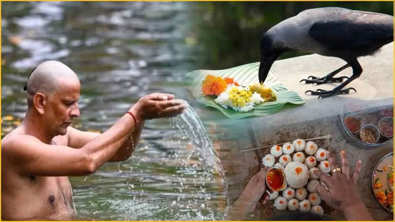 હિન્દુ ધર્મમાં પિતૃ પક્ષનો સમય ખૂબ જ મહત્વપૂર્ણ છે. આ 15-16 દિવસનો સમયગાળો છે, જ્યારે પૂર્વજોની આત્માની શાંતિ અને મુક્તિ માટે શ્રાદ્ધ અને તર્પણ કરવામાં આવે છે. આ સમય દરમિયાન લોકો તેમના પૂર્વજોને યાદ કરે છે અને તેમના આશીર્વાદ લે છે. એવું માનવામાં આવે છે કે આ સમયગાળા દરમિયાન પૂર્વજો પૃથ્વી પર આવે છે અને બધાના દુઃખ દૂર કરે છે.