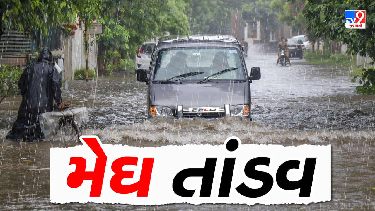 Rain News : મેઘરાજાએ કરી તોફાની બેટિંગ, છેલ્લા 24 કલાકમાં 82 તાલુકામાં વરસાદ, સૌથી વધુ સુત્રાપાડામાં 11 ઈંચ નોંધાયો વરસાદ, જુઓ Video