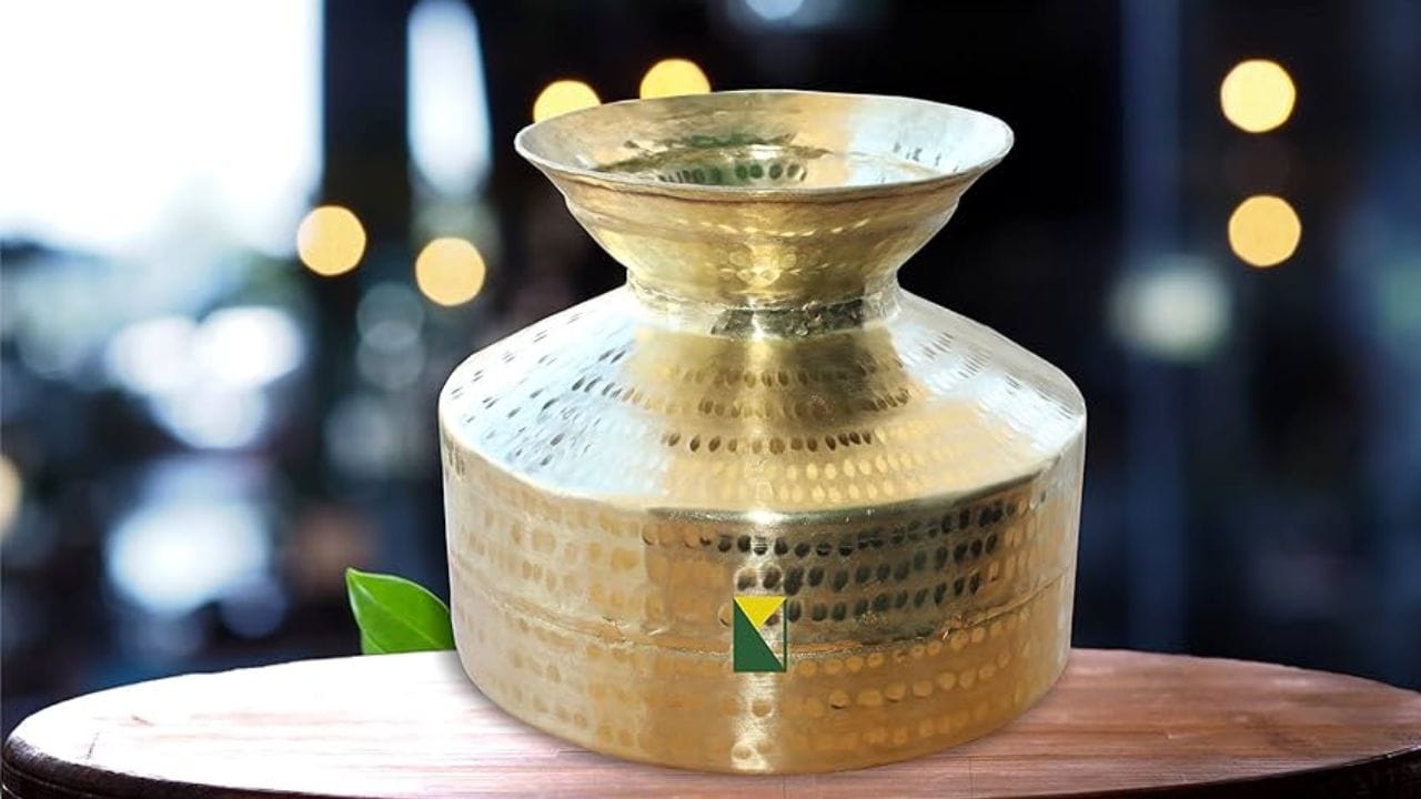 જો તમને વ્યવસાયમાં સતત નુકસાન થઈ રહ્યું છે અને કોઈ પ્રયાસ કામ કરી રહ્યો નથી, તો પિત્તળના વાસણમાં વરસાદનું પાણી એકત્રિત કરો અને એકાદશીના દિવસે આ પાણીથી દેવી લક્ષ્મી અને ભગવાન વિષ્ણુનો અભિષેક કરો. આનાથી તમારા પર લક્ષ્મી નારાયણનો આશીર્વાદ વરસશે અને તમારા પ્રયત્નોને વેગ મળશે.