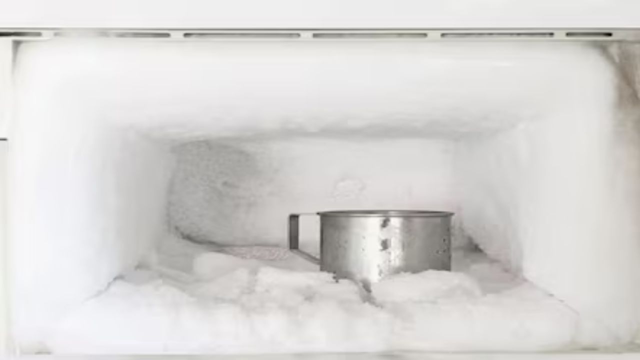 નિષ્ણાતો કહે છે કે રેફ્રિજરેટરમાં કંઈપણ હોય કે ન હોય, રેફ્રિજરેટરને વારંવાર બંધ કે ચાલુ ન કરવું જોઈએ. ઘણીવાર લોકો શિયાળાની ઋતુમાં રેફ્રિજરેટર બંધ કરી દે છે. જો કોઈ વસ્તુ બંધ રેફ્રિજરેટરમાં રાખવામાં આવે તો તે બગડવાની શક્યતા વધુ રહે છે. એટલું જ નહીં, રેફ્રિજરેટરમાંથી પણ દુર્ગંધ આવવા લાગે છે.