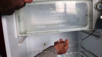 વીજળીના દર સતત વધી રહ્યા છે, જેના કારણે લોકો ઘણીવાર તેને બચાવવા વિશે વિચારે છે જેથી તેની અસર તેમના ખિસ્સા પર ન પડે. લોકો દરેક ઘરમાં રેફ્રિજરેટરનો ઉપયોગ કરે છે, ત્યારે ઘણા લોકો વીજળી ઓછી વપરાય તેના માટે રેફ્રિજરેટર સવારે ચાલુ અને રાતે બંધ કરે છે. તેમજ ઘરેથી દૂર જવાનું હોય ત્યારે પણ ફ્રિજ બંધ કરીને જાય છે, ત્યારે શું આમ ફ્રિજને બંધ ચાલુ કરવું યોગ્ય છે કે કેમ ચાલો જાણીએ.