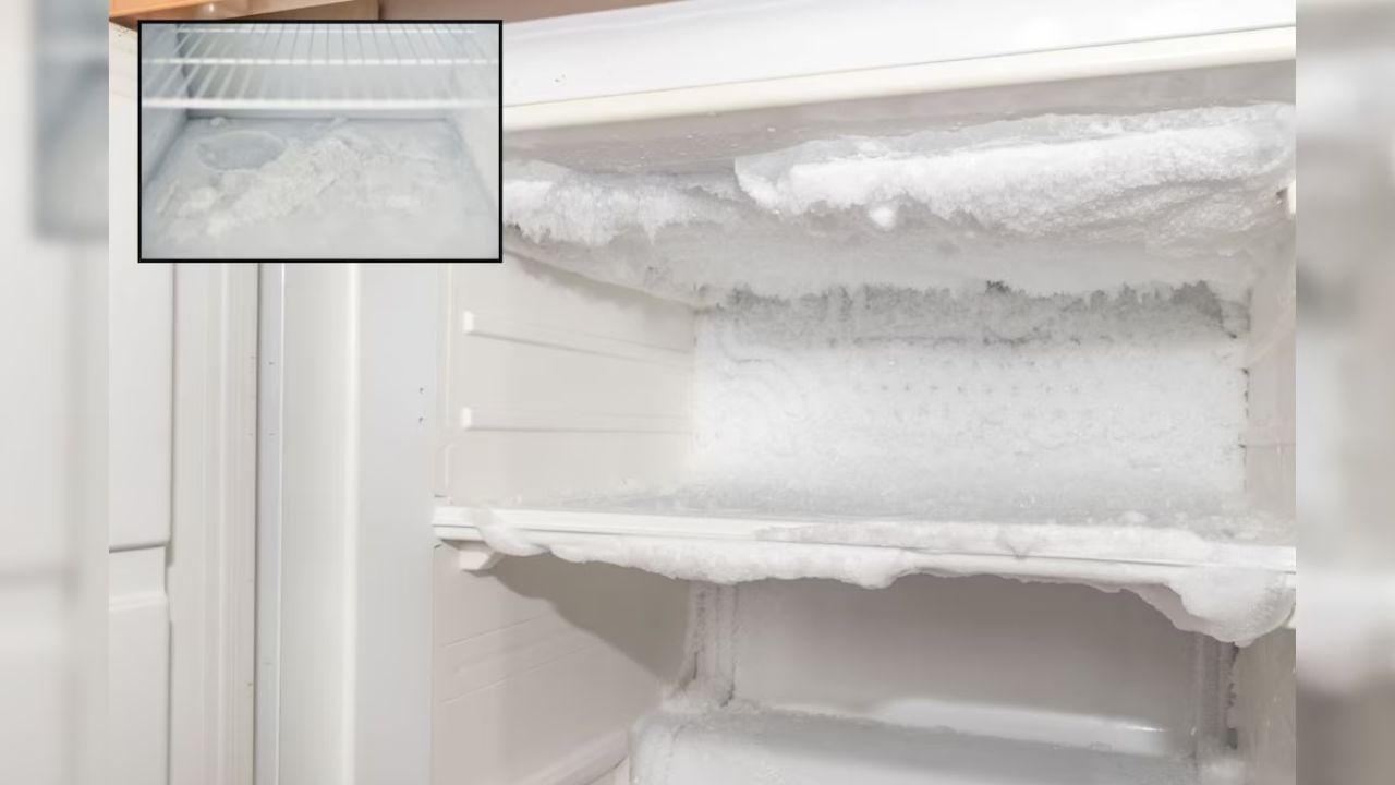 આજકાલ મોટાભાગની રેફ્રિજરેટર બ્રાન્ડ ઓટો પાવર કટ ફીચર સાથે આવે છે. આ ફીચરને કારણે, રેફ્રિજરેટર ઠંડુ થાય ત્યારે કોમ્પ્રેસર આપમેળે બંધ થઈ જાય છે. કોમ્પ્રેસર બંધ થવાને કારણે, વીજળી બચે છે અને ખર્ચ પણ ઓછો થાય છે. રેફ્રિજરેટરને વારંવાર મેન્યુઅલી બંધ અને ચાલુ કરવાથી રેફ્રિજરેટરના કોમ્પ્રેસર પર અસર પડી શકે છે. ઉપરાંત, રેફ્રિજરેટરની કૂલિંગ સિસ્ટમ પર વધુ દબાણ આવે છે.