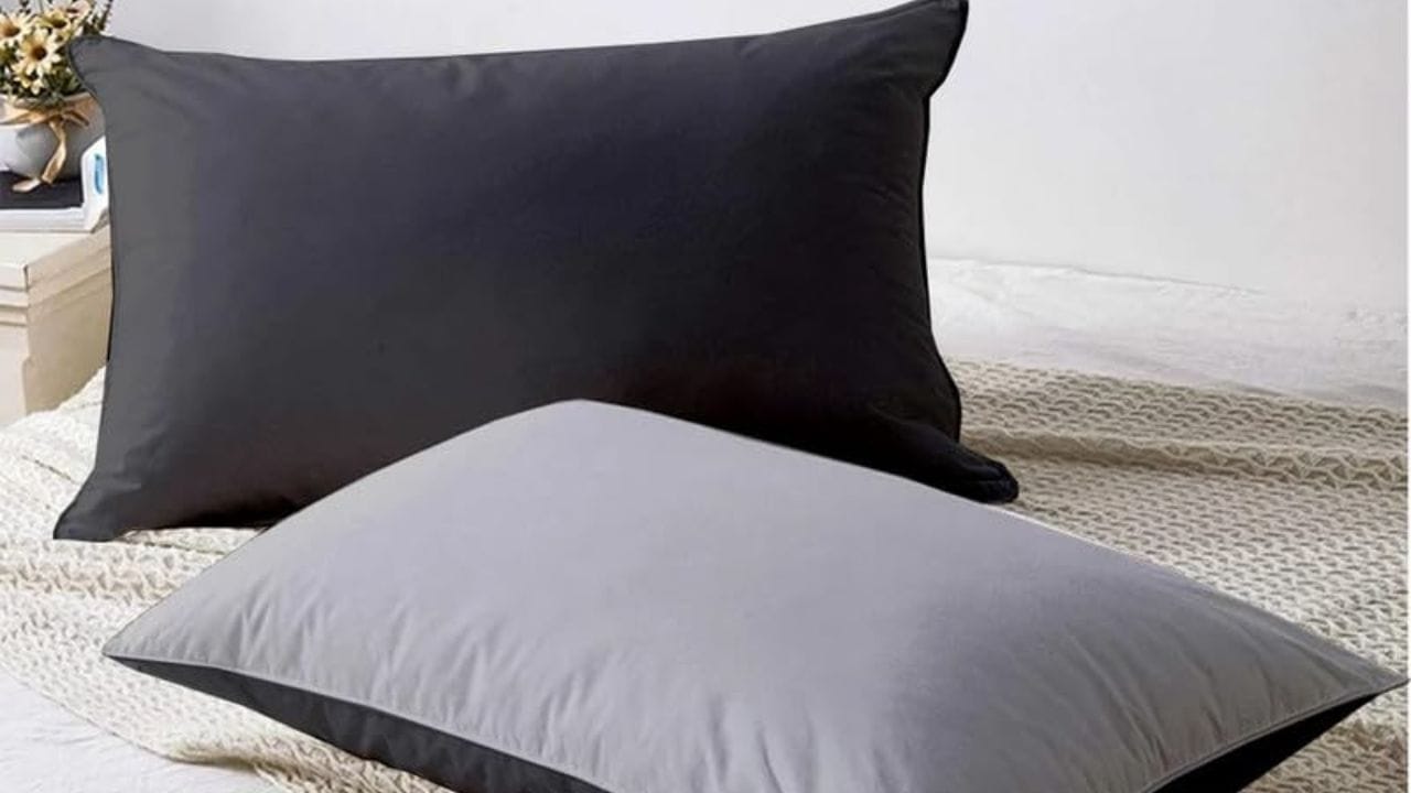 તકિયા: તમારા ઓશીકાથી એલર્જી અને શ્વાસની તકલીફ થઈ શકે છે. તેથી કોઈપણ ઓશીકાનો ઉપયોગ ફક્ત 1 થી 2 વર્ષ માટે કરો. કારણ કે સમય જતાં મૃત ત્વચાના કોષો, ધૂળના કણો અને પરસેવો ઓશીકામાં જમા થાય છે.
