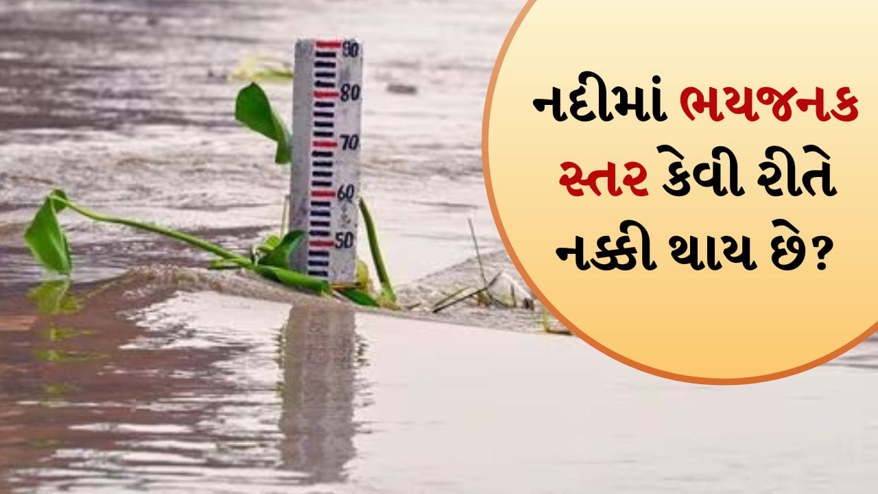 આ દિવસોમાં ભારે વરસાદને કારણે દેશના વિવિધ ભાગોમાં પૂર તબાહી મચાવી રહ્યું છે. ચોમાસા દરમિયાન સતત ભારે વરસાદને કારણે ઘણી જગ્યાએ નદીઓનું પાણીનું સ્તર વધી ગયું છે. ઘણી નદીઓ ભયજનક સ્તરથી ઉપર વહી રહી છે. પરંતુ આ ભયજનક સ્તર શું છે, તે કેવી રીતે નક્કી કરવામાં આવે છે અને તે કોણ નક્કી કરે છે? ચાલો જાણીએ.
