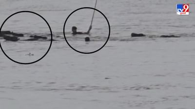 Kheda : વાત્રક નદીના પૂરમાં પશુપાલકો જીવના જોખમે નદી પાર કરતા જોવા મળ્યો, Video સોશિયલ મીડિયા પર થયો વાયરલ