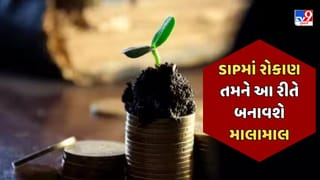 માત્ર 10 હજાર રુપિયાનું રોકાણ બનાવી દેશ 50 લાખ રુપિયાની રકમ, જાણો કેવી રીતે ક્યાં રોકાણ કરશો
