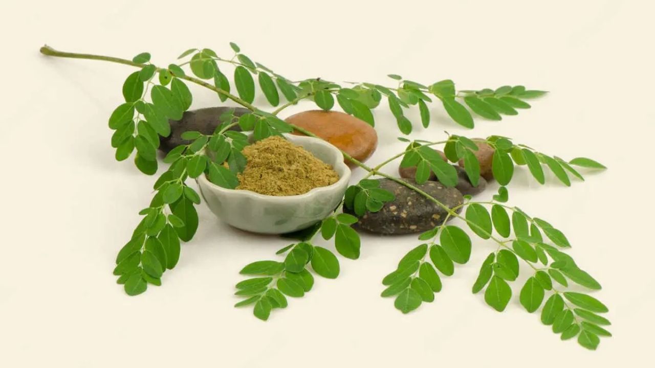 લોહીમાં શુગરનું સ્તર નિયંત્રિત કરે છે -  સરગવાના પાંદડાનું સેવન કરવાથી બ્લડ શુગર લેવલ ઘટાડવામાં મદદ મળે છે. આ કારણે તે ડાયાબિટીસના દર્દીઓ માટે અત્યંત લાભદાયક માનવામાં આવે છે.