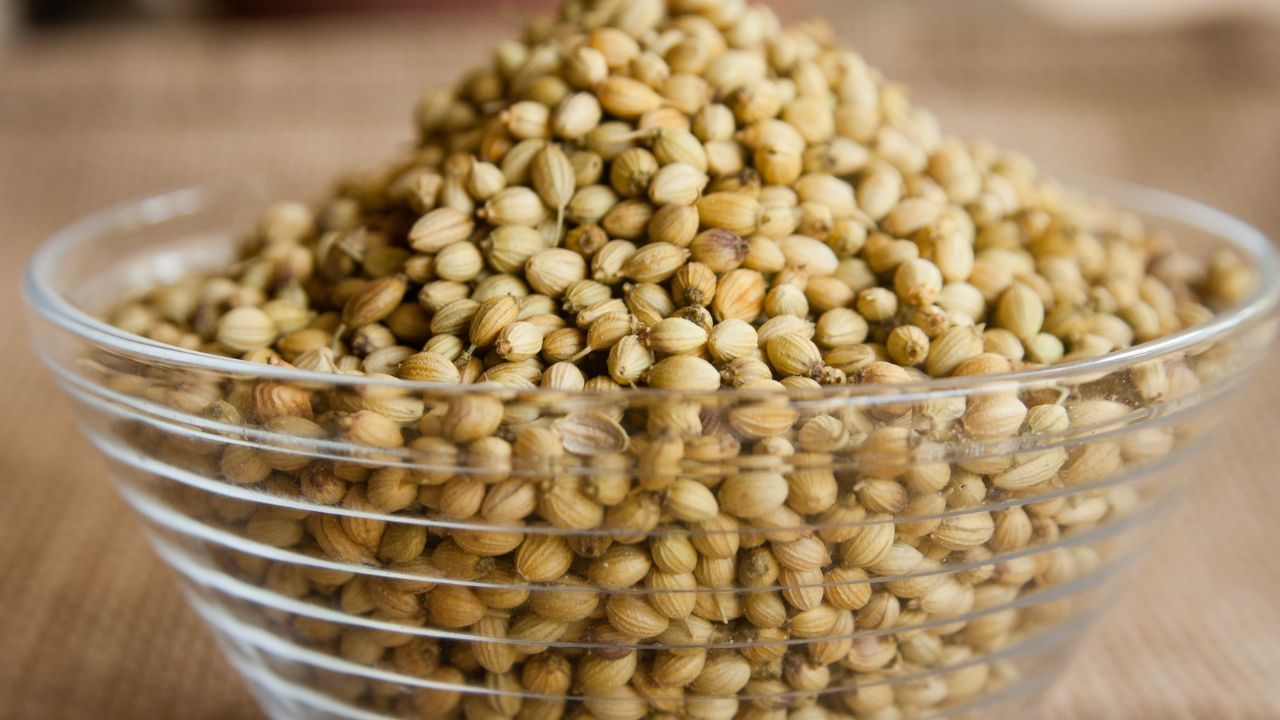 સવારે ખાલી પેટે ધાણાના બીજનું પાણી પીવાથી ઝેરી તત્વો બહાર કાઢવામાં મદદ મળે છે અને તે શરીરને ઠંડુ પાડે છે અને હોર્મોન્સને સંતુલિત કરે છે. આ માટે, ધાણાને રાત્રે પાણીમાં પલાળી રાખો અને સવારે પીવો.