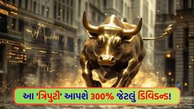 15 ઓગસ્ટ પહેલા રોકાણ કરી લેજો, 300% સુધીનું ડિવિડન્ડ મળશે ! 15 ઓગસ્ટ પહેલા રોકાણ કરી લેજો, 300% સુધીનું ડિવિડન્ડ મળશે !