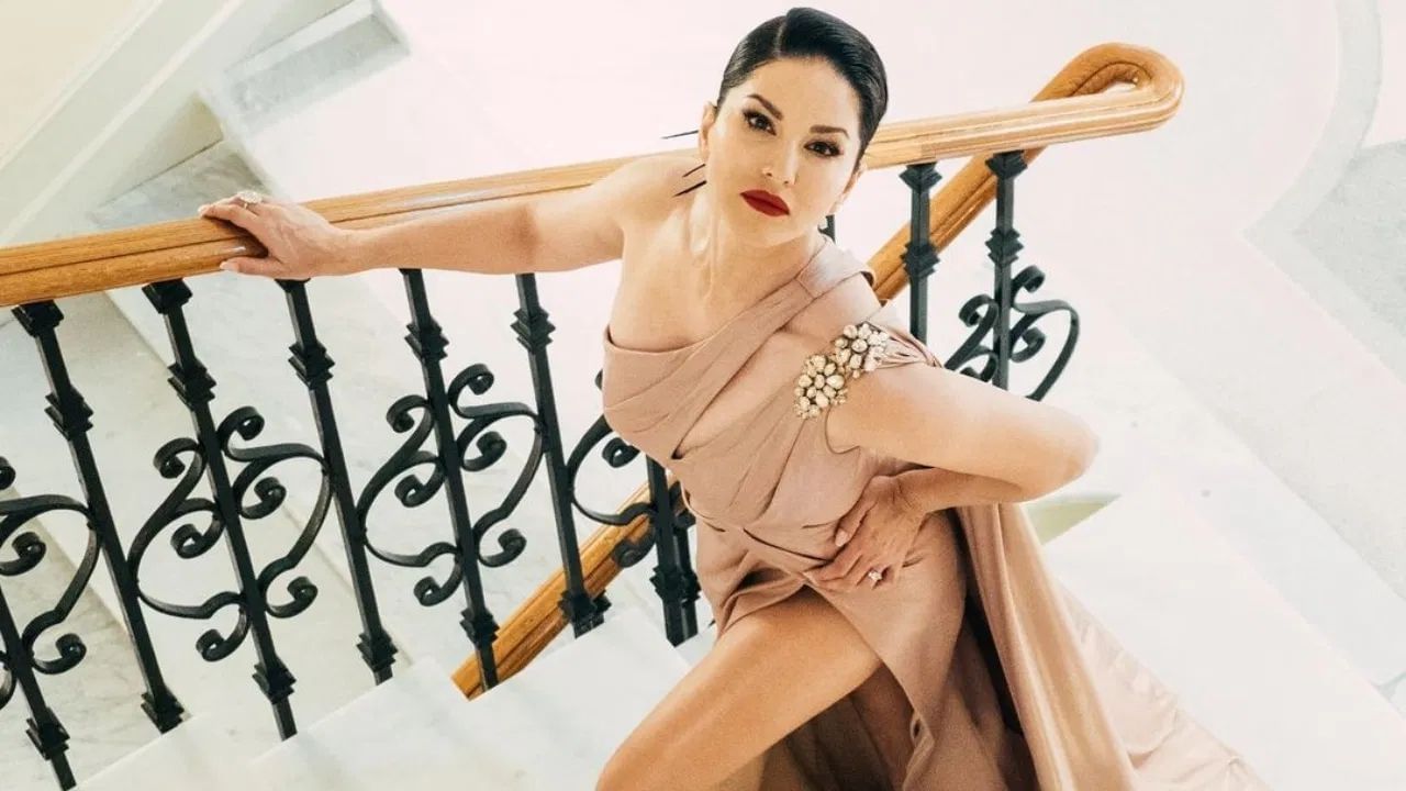 સનીએ આગળ ઉમેર્યું, “તે સમય દરમિયાન, અમે દત્તક લેવા માટે પણ અરજી કરી કારણ કે જ્યારે વસ્તુઓ તમારી ઇચ્છા મુજબ ન જાય ત્યારે IVF અને સરોગસીની પ્રક્રિયા ખૂબ જ નિરાશાજનક હોય છે. તે ખૂબ લાંબી પ્રક્રિયા પણ બની શકે છે. મને એક અઠવાડિયામાં ખબર પડી કે તેમાંથી ચાર બચી શકશે નહીં.” સનીએ કહ્યું, "ડેનિયલ અને હું હંમેશા એકબીજાને ભાવનાત્મક ટેકો આપવા માટે હાજર હતા. અમે કોઈને કંઈ કહ્યું નહીં. અમે પહેલા આ વિશે જાતે વાત કરવા માંગતા હતા. તે ખૂબ જ સહાયક છે, અને અમને બાળક વિશે પણ આવી જ લાગણીઓ હતી."