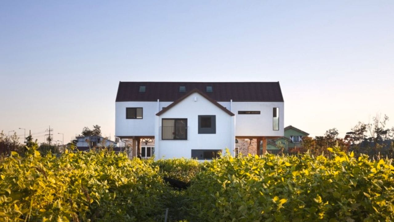 આ કારણે, આ પ્લોટ કોઈપણ રીતે ફળદાયી સાબિત થઈ શકતો નથી. આ પ્રકારના આકારના પ્લોટ પર બનેલા ઘરનો માલિક અને ઘરમાં રહેતા સભ્યોનું સ્વાસ્થ્ય નબળુ રહે છે.