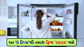 વગર પૈસે રેફ્રિજરેટરની સર્વિસ કેવી રીતે કરવી? ફોલો કરો આ 5 ટિપ્સ વગર પૈસે રેફ્રિજરેટરની સર્વિસ કેવી રીતે કરવી? ફોલો કરો આ 5 ટિપ્સ