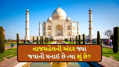 તાજમહેલ જોયો છે ? ત્યાં તમે આ ચીજ જોઈ છે કે નહીં, જો નથી જોઈ તો હવે અહીં જુઓ