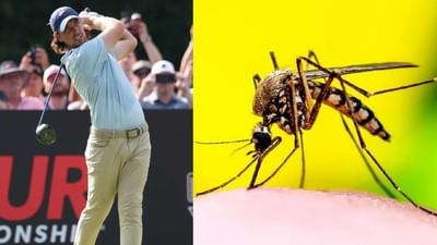 બોલ પર બેઠેલી માખીએ બનાવ્યો ચેમ્પિયન, ખેલાડી 2 મિલિયન ડોલર જીત્યો, વીડિયો વાયરલ