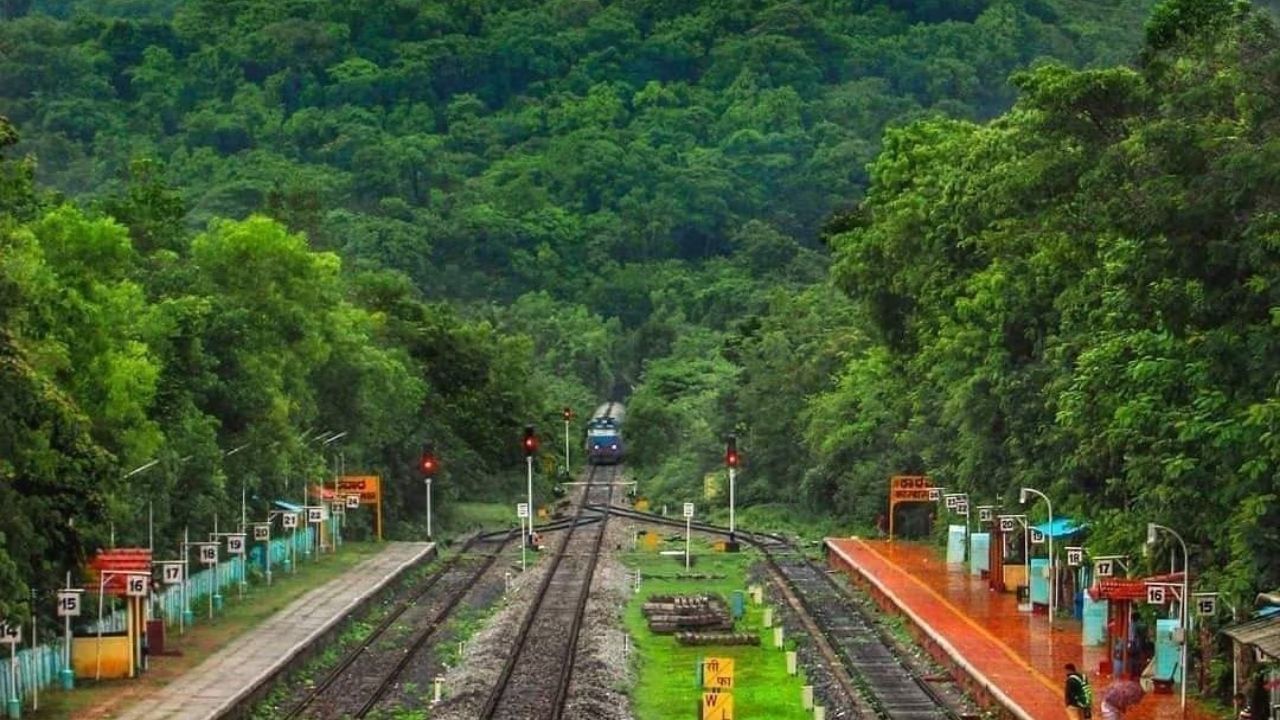 મુંબઈ થી ગોવા (કોંકણ રેલ્વે): આ સમુદ્ર સાથે ચાલતી એક અદ્ભુત ટ્રેન યાત્રા છે. આ 756 કિમીની યાત્રા 92 ટનલ અને 2000 પુલોમાંથી પસાર થાય છે. પશ્ચિમ ઘાટના લીલાછમ જંગલો, ધોધ અને ગામડાઓ આ યાત્રાને ખાસ બનાવે છે, ખાસ કરીને ચોમાસામાં.  (Photo Credit: lensfeed_photography)