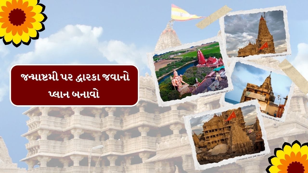 તમે દ્વારકામાં ગુજરાતી થાળી અને ગુજરાતી સ્ટ્રીટ ફૂડનો આનંદ માણી શકો છો. જો તમે જન્માષ્ટમીના શુભ પ્રસંગે દ્વારકા આવી રહ્યા છો, તો તમને દૂધ, માખણ અને ખાસ પ્રસાદ પણ મળશે. (photo : gujarat tourisam)