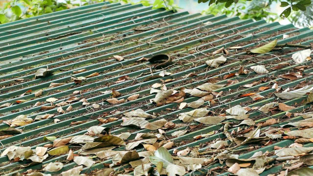 વાસ્તુશાસ્ત્ર મુજબ, છત પર કચરો અથવા બગડેલી વસ્તુઓ રાખવી અશુભ માનવામાં આવે છે. આવી વસ્તુઓ ઘરમા નકારાત્મક ઊર્જા વધારતી હોવા સાથે શનિ અને રાહુથી જોડાયેલા વિઘ્નો પણ લાવી શકે છે. છતના વાસ્તુદોષ દૂર રાખવા માટે ત્યાં ક્યારેય કચરો, જૂની સામગ્રી, રેતી, સિમેન્ટ, વાંસની લાકડીઓ અથવા સૂકા છોડ ભેગા ન કરવા જોઈએ અને તેને હંમેશા સ્વચ્છ રાખવું જોઈએ. ( નોંધ :ટીવી9 કોઈ પણ પ્રકારે અંધશ્રદ્ધાને પ્રોત્સાહન આપતુ નથી. આ અહેવાલ માત્ર ધાર્મિક માન્યતા અને લોકોમાં પ્રચલિત માન્યતા, રીત રિવાજને આધારે રજૂ કરવામાં આવેલ છે. ) (Credits: - Canva)