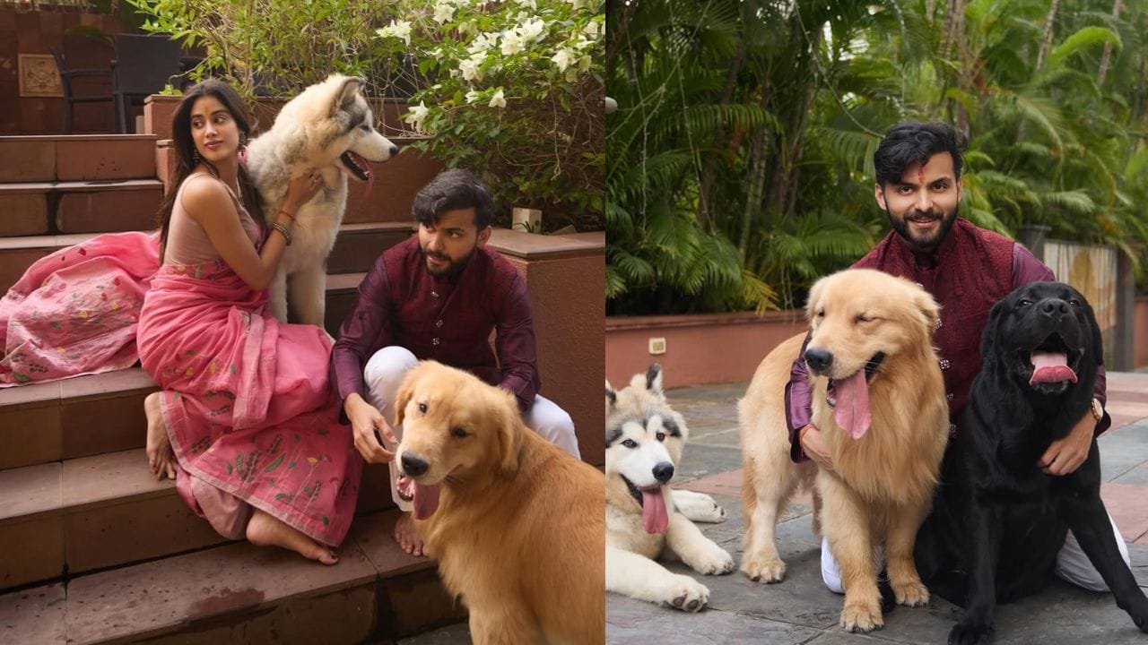 તમને જણાવી દઈએ કે વીર પહાડિયાનું નામ સૈફ અલી ખાનની પુત્રી અને અભિનેત્રી સારા અલી ખાન સાથે જોડવામાં આવ્યું છે. બાદમાં તેમના બ્રેકઅપના સમાચાર આવ્યા હતા, પરંતુ સારા કે વીરે ક્યારેય અફેર કે બ્રેકઅપના સમાચાર પર પ્રતિક્રિયા આપી ન હતી. હવે વીર પહાડિયાનું નામ બોલિવુડ અભિનેત્રી તારા સુતારિયા સાથે જોડવામાં આવી રહ્યું છે.