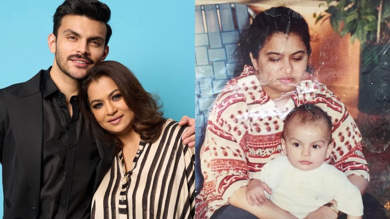 બંને ભાઈઓએ તેમનો અભ્યાસ બોમ્બે સ્કોટિશ સ્કૂલ અને ધીરુભાઈ અંબાણી ઇન્ટરનેશનલ સ્કૂલમાંથી કર્યો હતો. ત્યારબાદ વીર પહાડિયાએ દુબઈમાંથી આગળનો અભ્યાસ પૂર્ણ કર્યો. જ્યારે શિખરે લંડનની રીજન્ટ યુનિવર્સિટીમાંથી ગ્લોબલ ફાઇનાન્સિયલ મેનેજમેન્ટમાં સ્નાતકની ડિગ્રી મેળવી હતી.