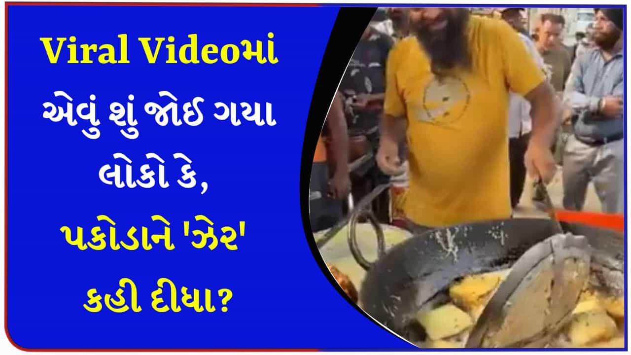 આ શું પ્લાસ્ટિક વાળા તેલમાં બ્રેડના પકોડા? સ્ટ્રીટ ફૂડ વાળા ભૈયાના વીડિયોમાં લોકોએ આવું જોયું, યુઝર્સ થયા લાલઘુમ