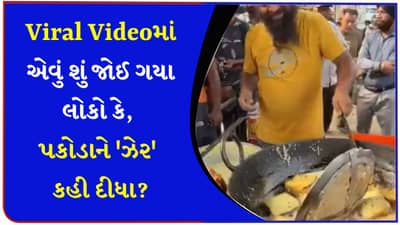 આ શું પ્લાસ્ટિક વાળા તેલમાં બ્રેડના પકોડા? સ્ટ્રીટ ફૂડ વાળા ભૈયાના વીડિયોમાં લોકોએ આવું જોયું, યુઝર્સ થયા લાલઘુમ