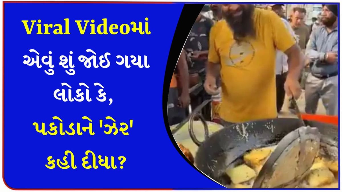 આ શું પ્લાસ્ટિક વાળા તેલમાં બ્રેડના પકોડા? સ્ટ્રીટ ફૂડ વાળા ભૈયાના વીડિયોમાં લોકોએ આવું જોયું, યુઝર્સ થયા લાલઘુમ