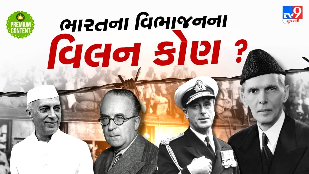 વિભાજન વખતે દેશના 4 કરોડ મુસ્લિમોમાંથી માત્ર 96 લાખ મુસ્લિમો જ પાકિસ્તાન ગયા, બાકીના ભારતમાં જ રહ્યા- તો ભાગલા કોના માટે કરાયા?