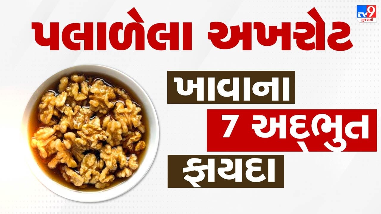 અખરોટમાં રહેલું ફાઇબર પાચનક્રિયાને સુધારે છે અને અપચો, ગેસ તેમજ કબજિયાત જેવી પેટની તકલીફોને ઓછા કરવામાં સહાય કરે છે.