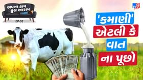 મહિને ₹90,000 ની કમાણી ! નોકરીને 'બાય બાય' અને બિઝનેસની આવકને 'આય આય' મહિને ₹90,000 ની કમાણી ! નોકરીને 'બાય બાય' અને બિઝનેસની આવકને 'આય આય'
