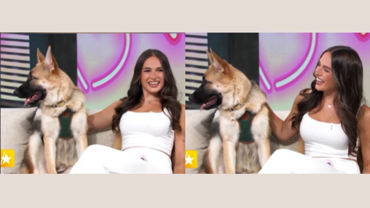 આજે અમે તમને દુનિયાના એક એવા શ્વાનો પરિચય કરાવવા જઈ રહ્યા છીએ, જે કૂતરો છે પણ કરોડપતિ જેવું જીવન જીવે છે. તેનું નામ ગુંથર છે, જે ઇટાલીમાં રહે છે. ગુંથર એટલો ધનવાન છે કે ઘણી સેલિબ્રિટીઓ તેની સામે ગરીબ દેખાવા લાગે છે. એક ખાનગી રસોઇયા તેના માટે ભોજન તૈયાર કરે છે. તે યાટ પર મુસાફરી કરે છે. લક્ઝરી કારમાં મુસાફરી કરે છે અને ઇટાલીના ટસ્કનીમાં એક વૈભવી વિલામાં રહે છે. ગુંથરની દરેક જરૂરિયાત માટે 27 લોકોનો સ્ટાફ હાજર છે. એવું કહેવાય છે કે ગુંથર લગભગ 3500 કરોડ રૂપિયાની સંપત્તિ ધરાવે છે.