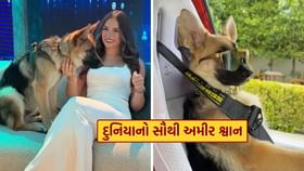 દુનિયાનો સૌથી અમીર શ્વાન, જીવે છે સુપર લક્ઝરી લાઈફ દુનિયાનો સૌથી અમીર શ્વાન, જીવે છે સુપર લક્ઝરી લાઈફ