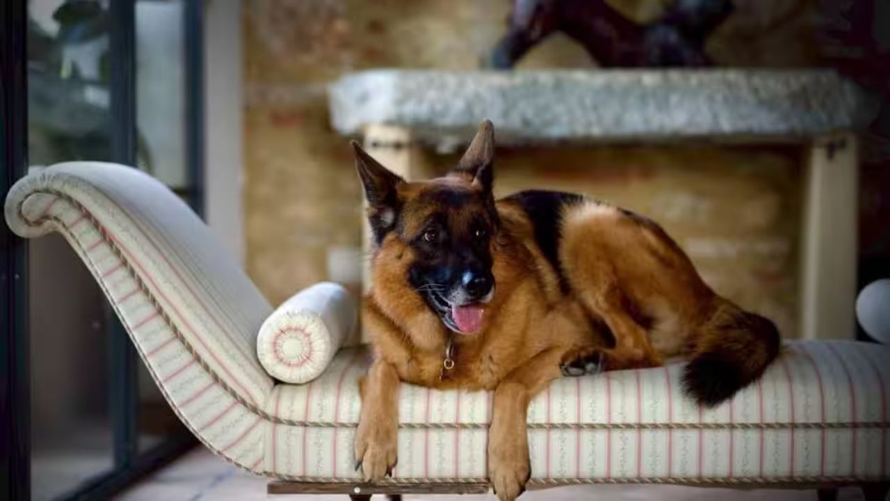 મિયાં એક ઇટાલિયન ફાર્માસ્યુટિકલ કંપનીના વારસદાર છે. મિયાંએ કર ટાળવા માટે આ ગુંથર ટ્રસ્ટ બનાવ્યું હતું. 1999 માં, ગિનિસ વર્લ્ડ રેકોર્ડ્સના પ્રવક્તાએ કહ્યું હતું કે તેમની પાસે ગુંથરની સંપત્તિને સત્તાવાર રીતે રેકોર્ડ કરવા માટે પૂરતા પુરાવા નથી, પરંતુ વર્ષોથી, ગુંથર છઠ્ઠાની વૈભવી જીવનશૈલી અને તેમની આશ્ચર્યજનક સંપત્તિ લોકોને આશ્ચર્યચકિત કરી રહી છે.