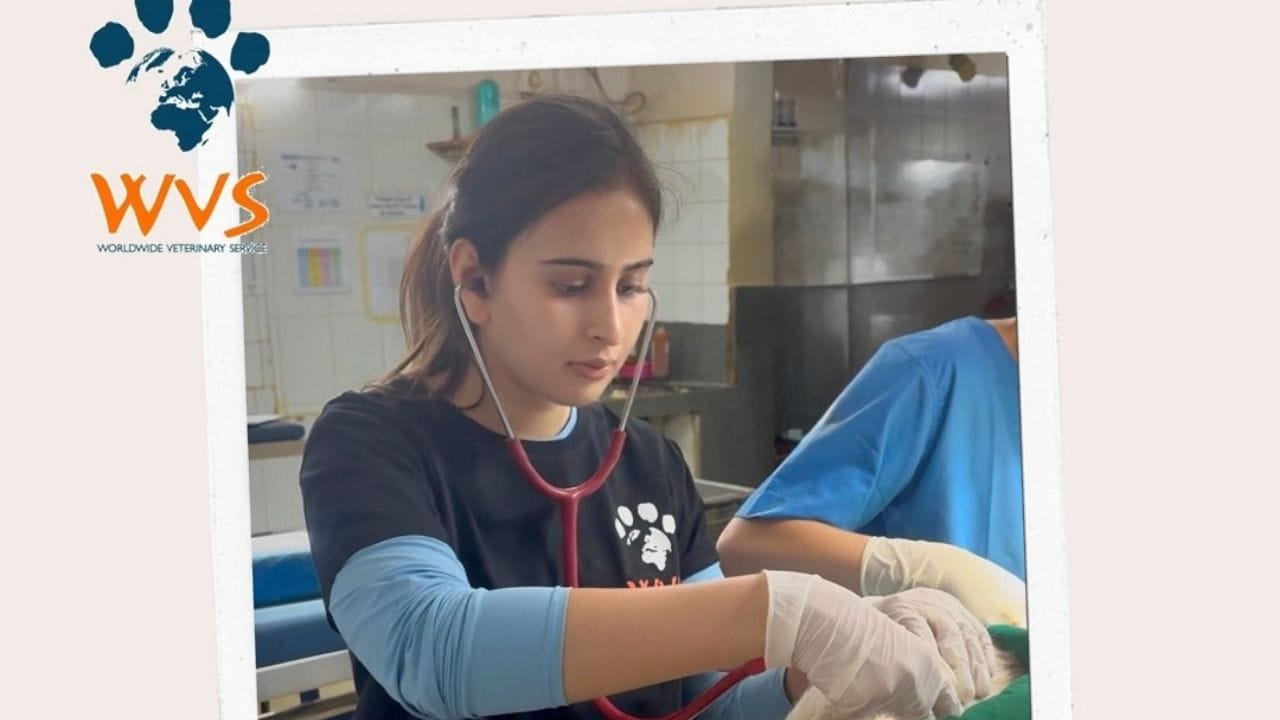 25 વર્ષીય અર્જુન તેંડુલકરે 13 ઓગસ્ટ 2025ના રોજ 26 વર્ષની સાનિયા ચંડોક સાથે સગાઈ કરી હતી. બંને વચ્ચે એક વર્ષથી થોડો વધુ ઉંમરનો તફાવત છે.અર્જુન તેંડુલકર અને સાનિયા ચંડોક બાળપણથી જ સારા મિત્રો છે.