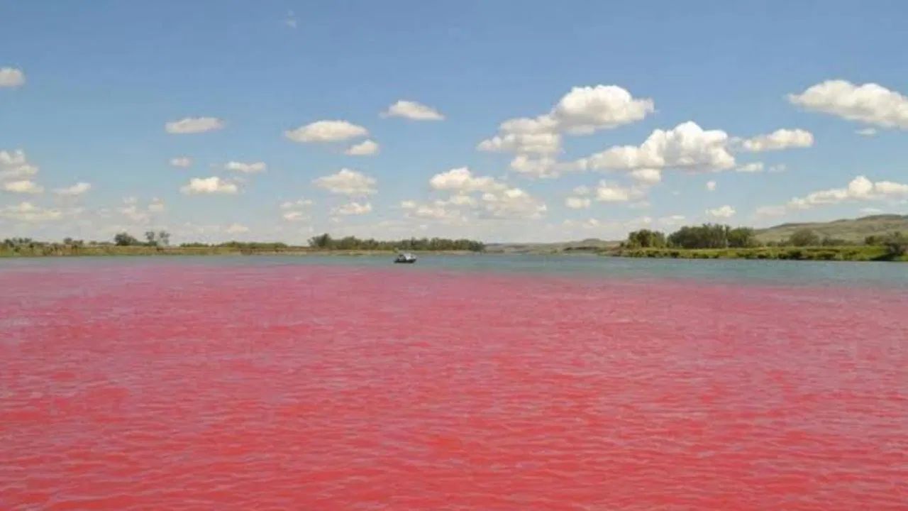 Disclaimer: આમાં આપવામાં આવેલી માહિતી ધાર્મિક માન્યતાઓ અને સામાન્ય માહિતી પર આધારિત છે. TV9 ગુજરાતી તેની પુષ્ટિ કરતું નથી.