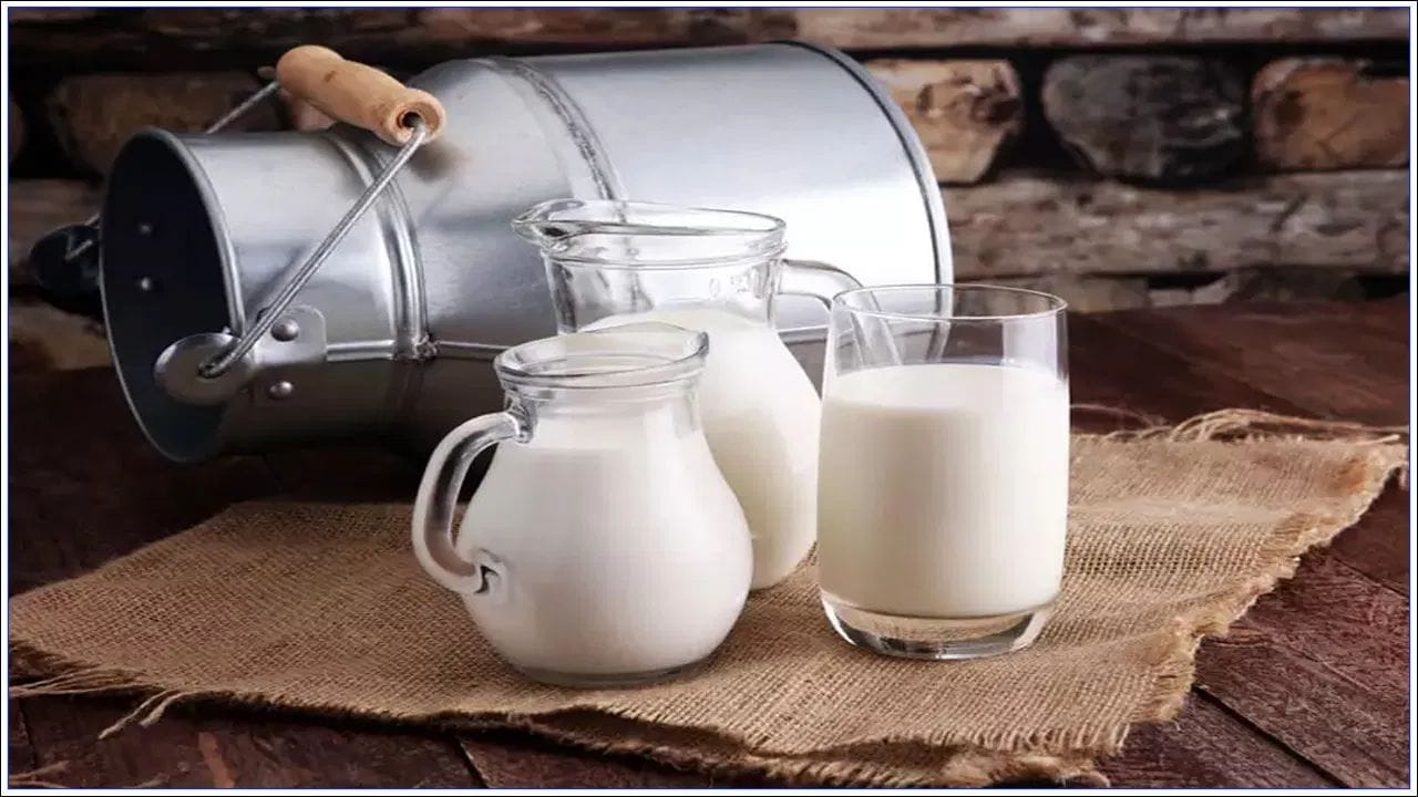 ભેંસનું દૂધ વધુ ચરબી અને પ્રોટીન ધરાવે છે. આ જ કારણ છે કે તે ક્રીમી અને જાડું છે. તેનો સ્વાદ પણ ગાયના દૂધ કરતાં થોડો અલગ અને મજેદાર છે. પરંતુ આને કારણે, તે પચવામાં થોડું મુશ્કેલ બની શકે છે. ભેંસનું દૂધ એવા લોકો માટે સારું માનવામાં આવે છે જેઓ જીમ જાય છે, ભારે કામ કરે છે અથવા શરીરને ઉર્જા અને સ્નાયુઓ બનાવવા માટે વધુ પ્રોટીનની જરૂર હોય છે.