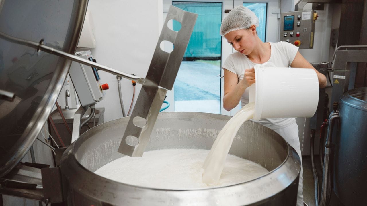 લીલો ચારો, સુકો ચારો અને પૂરક ખોરાકનું યોગ્ય આયોજન કરવાથી પશુઓ તંદુરસ્ત રહેશે અને દૂધ પણ વધારે પ્રમાણમાં આપશે. દૂધના વેચાણ માટે પહેલેથી યોજના બનાવવી જરૂરી છે. તમે દૂધ સીધું ગ્રાહકોને ઘર સુધી પહોંચાડવાનો વિકલ્પ અપનાવી શકો છો અથવા નજીકની ડેરી કંપનીને વેચાણ કરી શકો છો. 