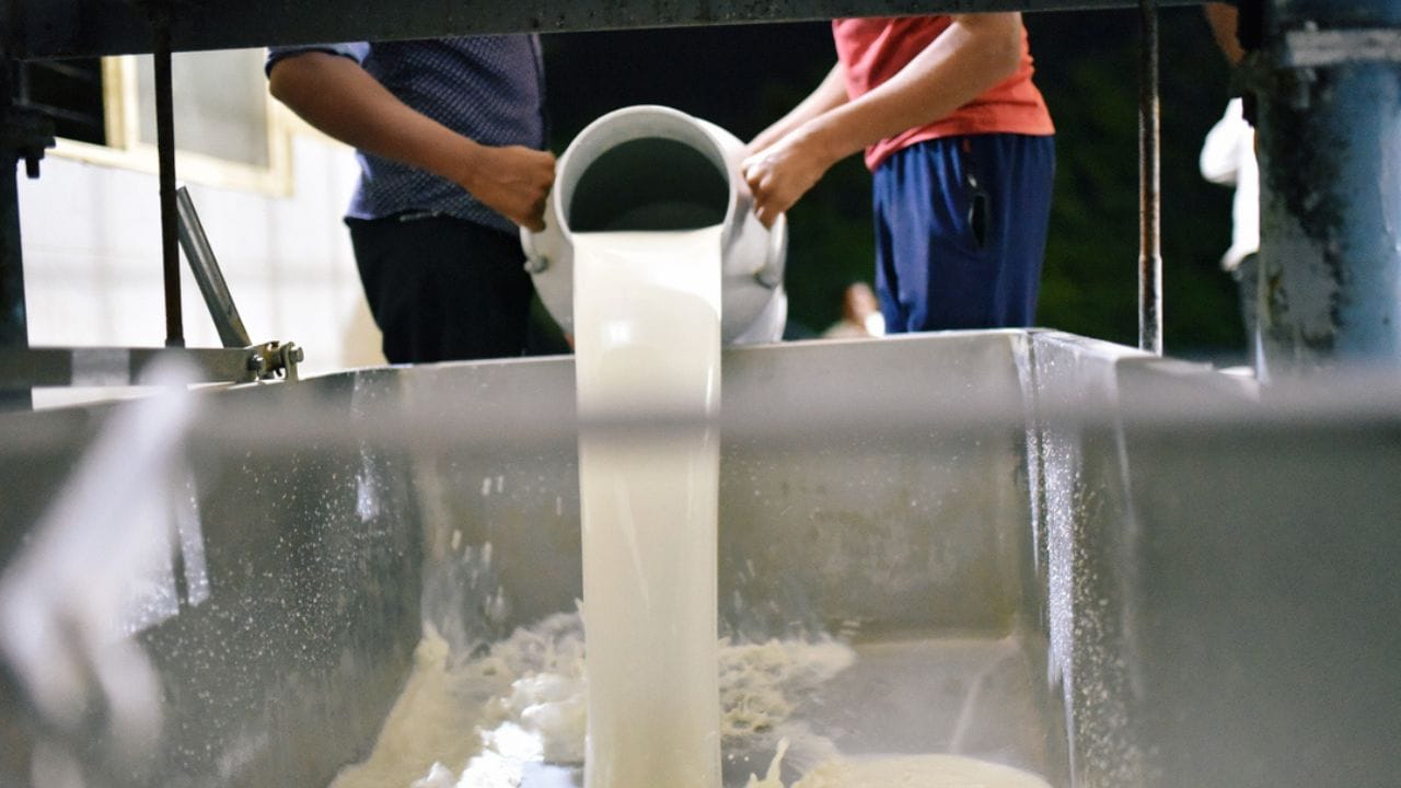 વધુમાં તમે દૂધ ઉપરાંત દહીં, ઘી, છાશ જેવા ઉત્પાદનો બનાવીને પણ વધારાની આવક ઊભી કરી શકો છો. આ વ્યવસાય શરૂ કરવા માટે સ્થાનિક મ્યુનિસિપલ લાયસન્સ, ફૂડ સેફ્ટી લાઇસન્સ (FSSAI) અને GST રજીસ્ટ્રેશન જરૂરી છે. 