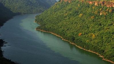 ભારતમાં નદીઓનું ખૂબ ધાર્મિક અને સાંસ્કૃતિક મહત્વ છે. કેટલીક નદીઓને જીવનદાતા માનવામાં આવે છે અને તેમની પૂજા કરવામાં આવે છે. પરંતુ ભારતમાં કેટલીક નદીઓ એવી છે જેને શાપિત માનવામાં આવે છે. આમાંથી એક ચંબલ નદી છે. ચાલો તમને તેના વિશે જણાવીએ.